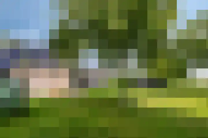 Verlaat 40 Heerhugowaard thumbnail 43
