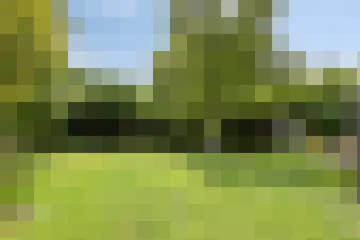 Verlaat 40 Heerhugowaard thumbnail 46