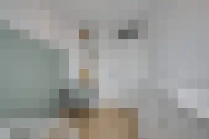 Verlaat 60 Leimuiden thumbnail 20
