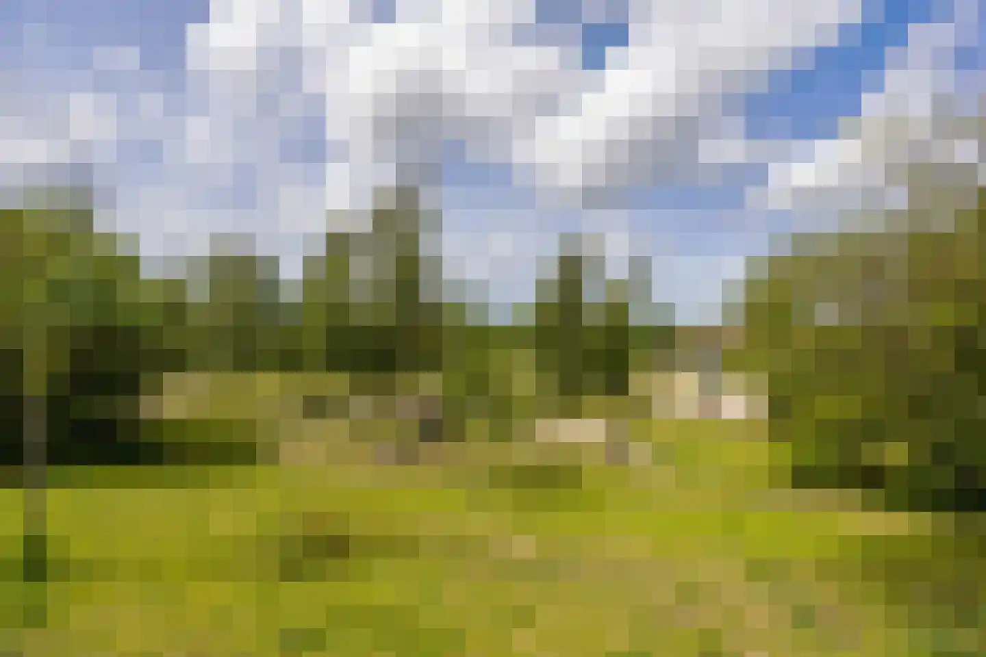 Verlaat 7 Voorburg thumbnail 36