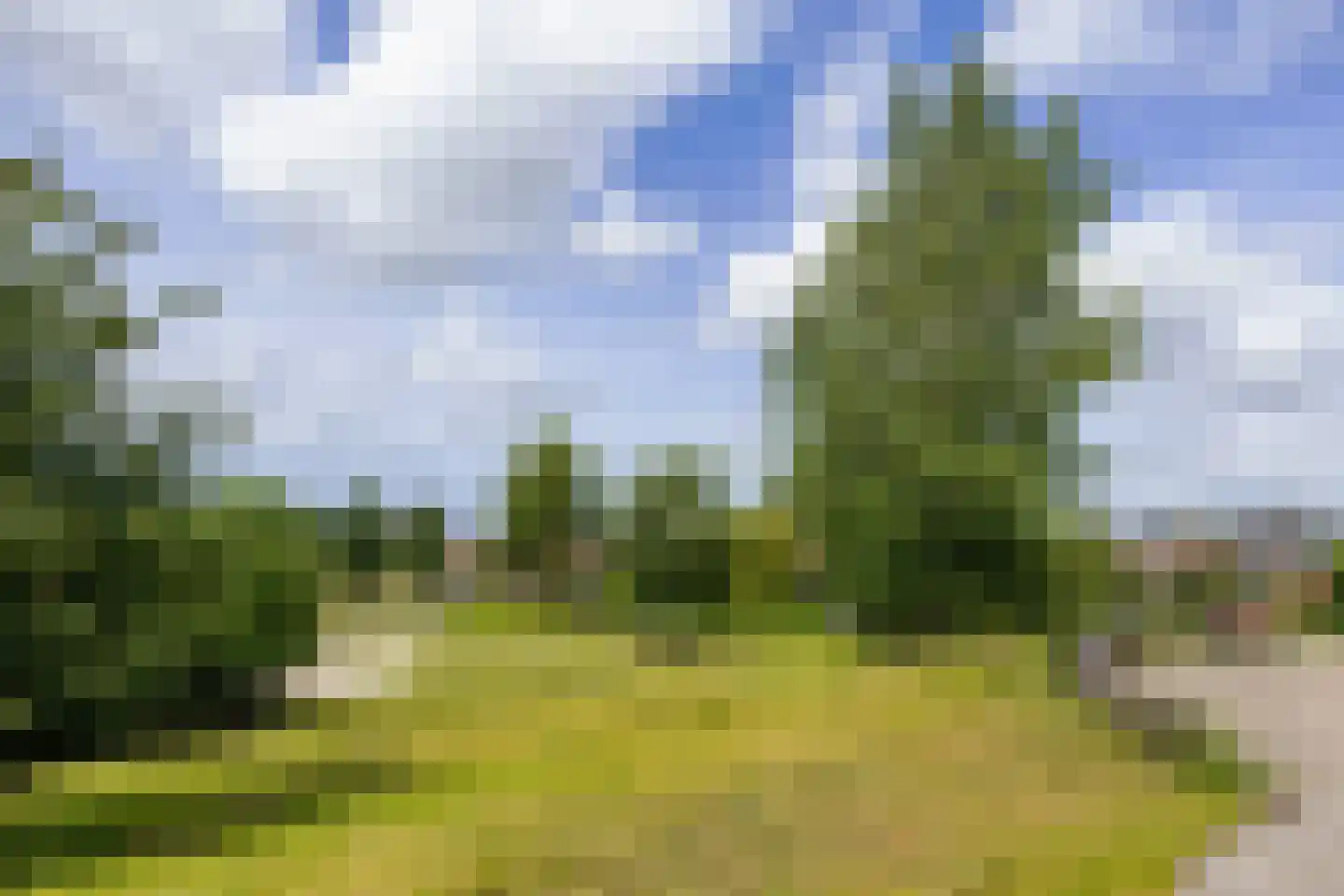 Verlaat 7 Voorburg thumbnail 38