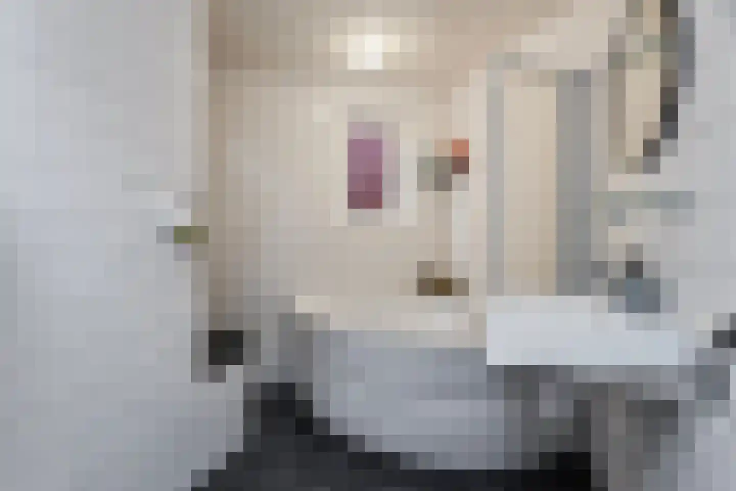 Verlaat 9 Nijkerk thumbnail 14