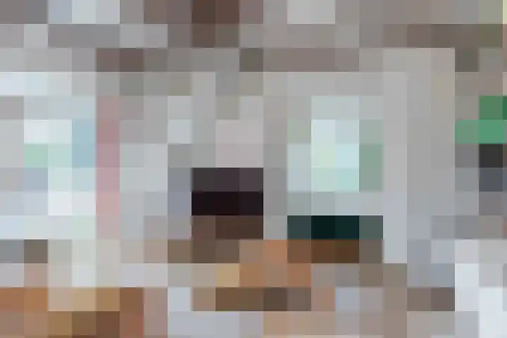 Verlaatjeswijk A 181 Nieuwe Pekela thumbnail 15