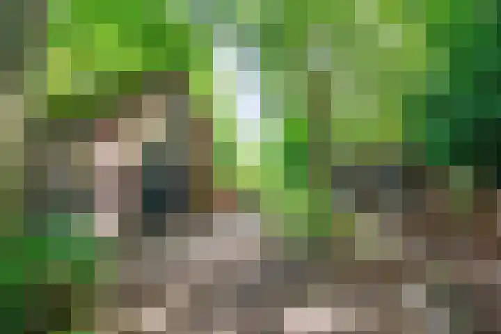 Verlaatjeswijk A 181 Nieuwe Pekela thumbnail 28