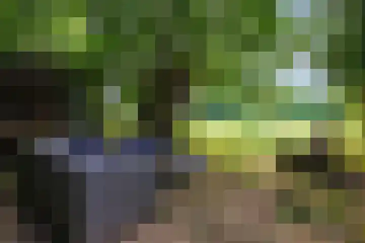 Verlaatjeswijk A 181 Nieuwe Pekela thumbnail 30