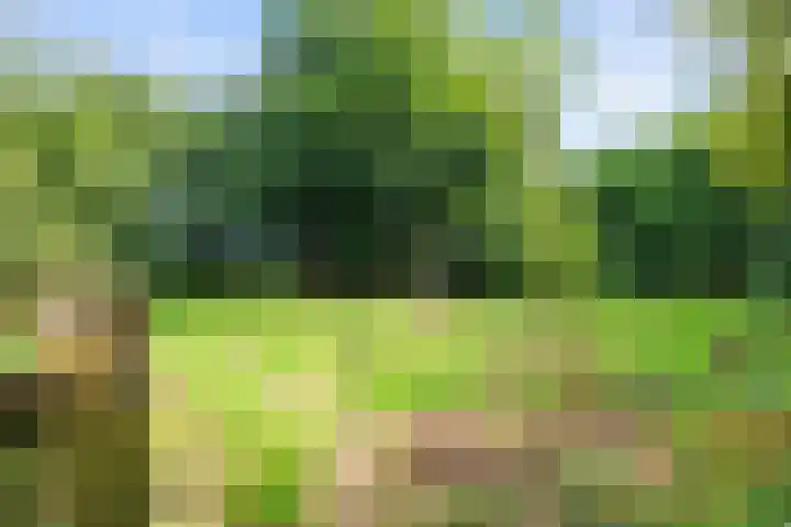 Verlaatjeswijk A 181 Nieuwe Pekela thumbnail 31