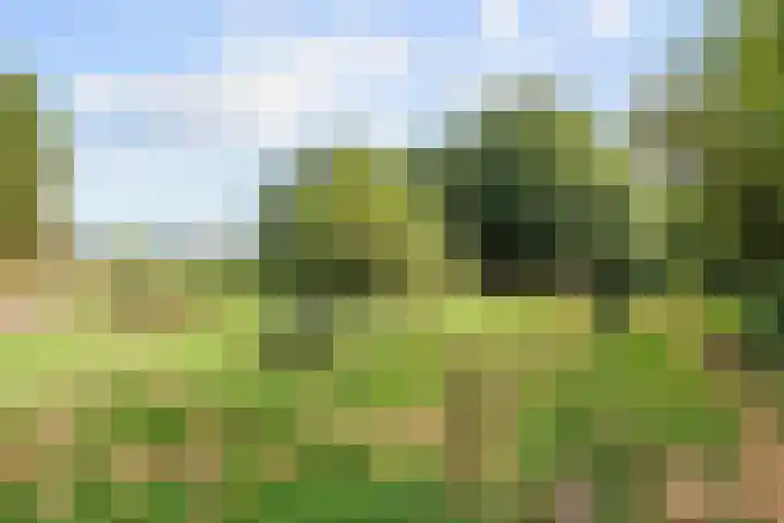 Verlaatjeswijk A 181 Nieuwe Pekela thumbnail 32