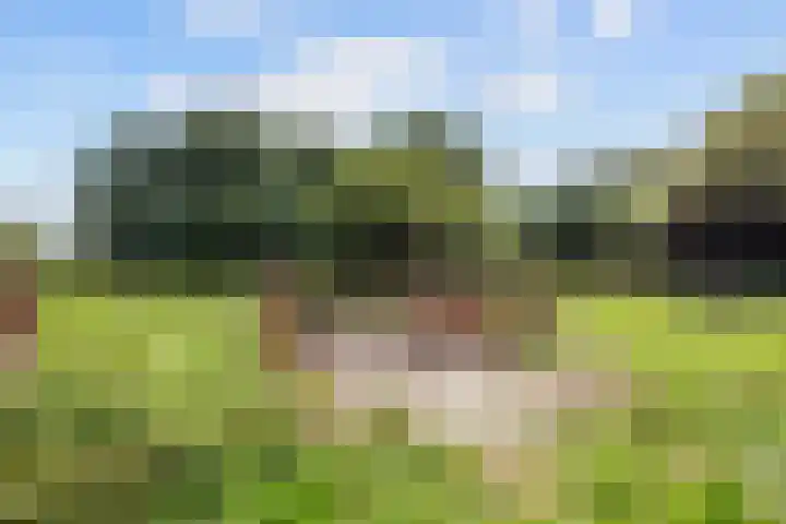 Verlaatjeswijk A 181 Nieuwe Pekela thumbnail 33