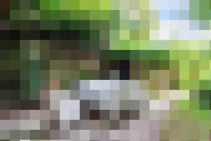 Verlaatjeswijk A 181 Nieuwe Pekela thumbnail 34