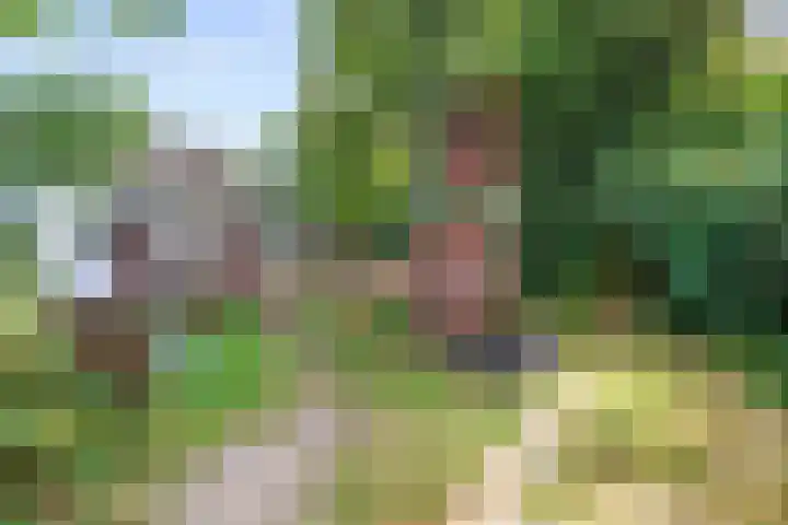 Verlaatjeswijk A 181 Nieuwe Pekela thumbnail 6