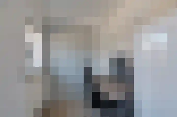 Verlaatsdam 31 Surhuisterveen thumbnail 17