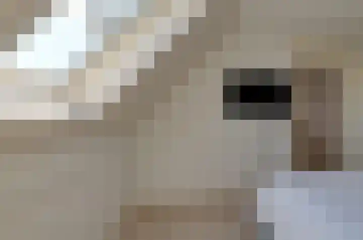 Verlaatsdam 31 Surhuisterveen thumbnail 24
