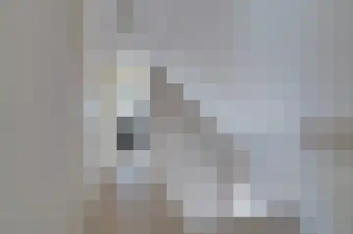 Verlaatsdam 31 Surhuisterveen thumbnail 25