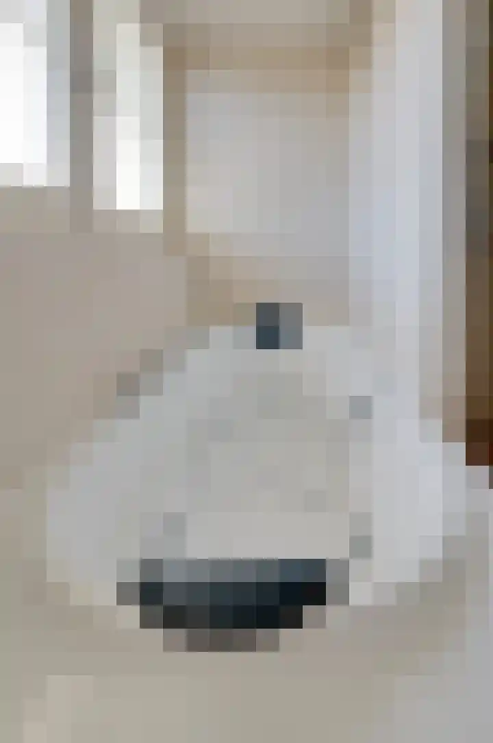 Verlaatsdam 31 Surhuisterveen thumbnail 32