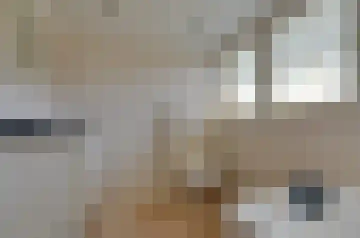 Verlaatsdam 31 Surhuisterveen thumbnail 33