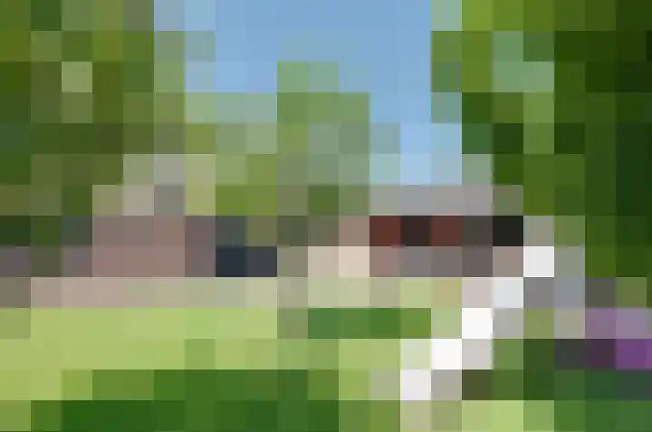 Verlaatsdam 31 Surhuisterveen thumbnail 39