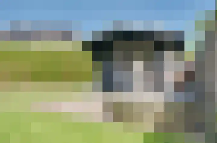 Verlaatsdam 31 Surhuisterveen thumbnail 42
