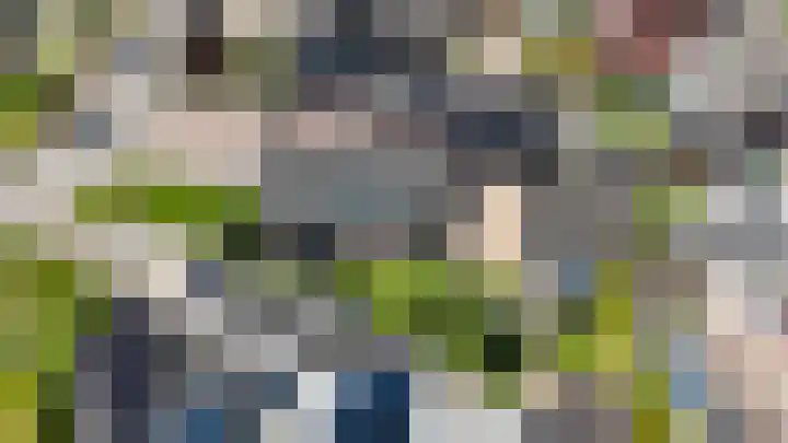 Verlaatsdam 31 Surhuisterveen thumbnail 45