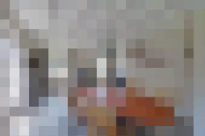 Verlaatsdam 31 Surhuisterveen thumbnail 6