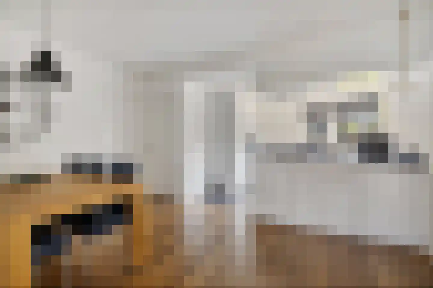 Verlaatsdam 9 Surhuisterveen thumbnail 11
