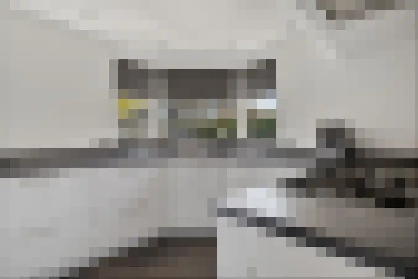 Verlaatsdam 9 Surhuisterveen thumbnail 17