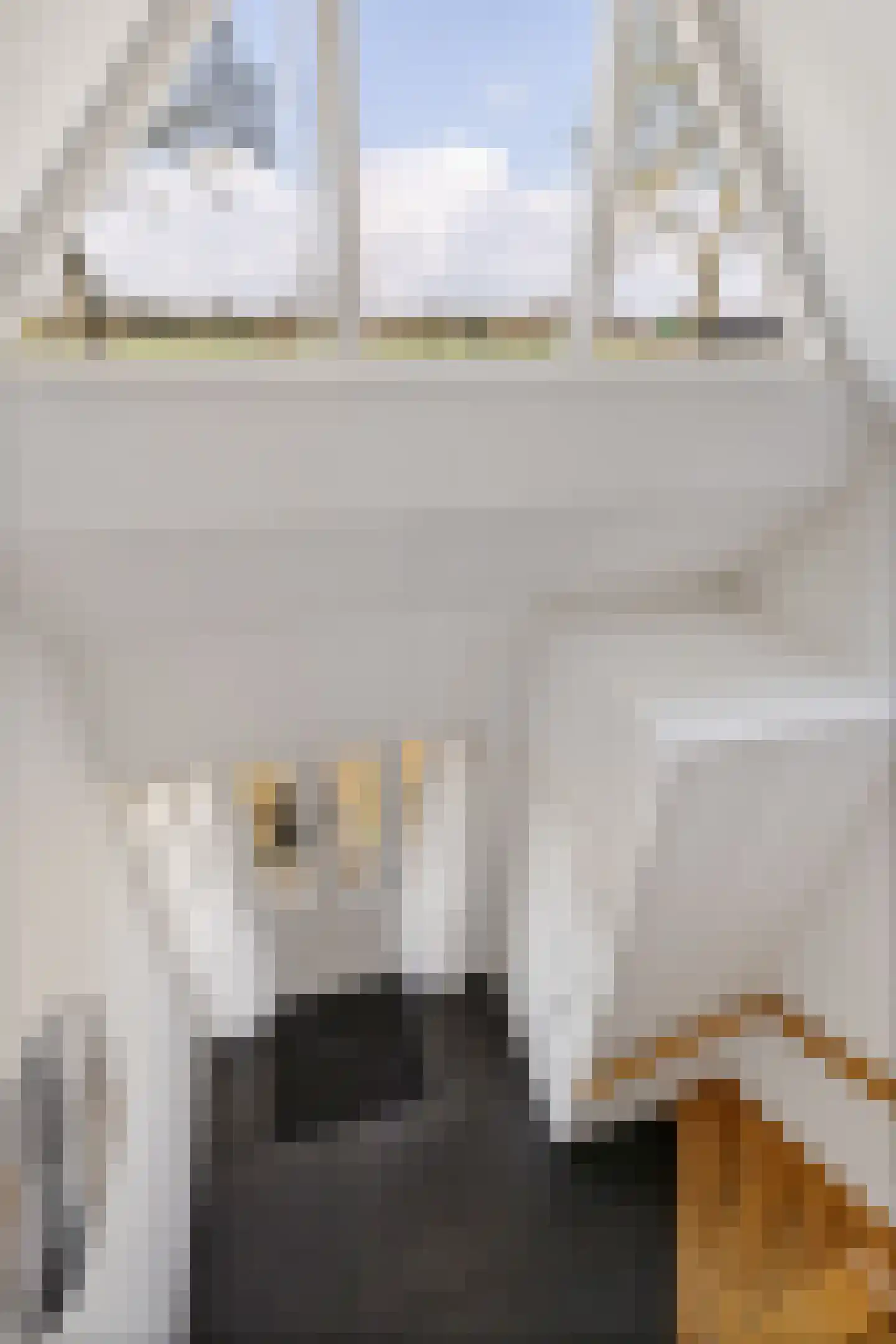 Verlaatsdam 9 Surhuisterveen thumbnail 35