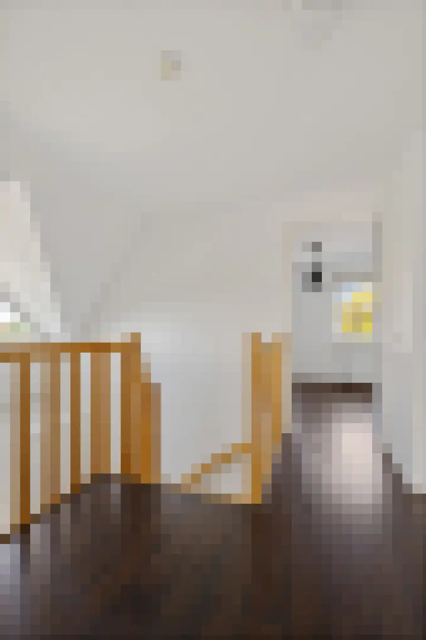 Verlaatsdam 9 Surhuisterveen thumbnail 36