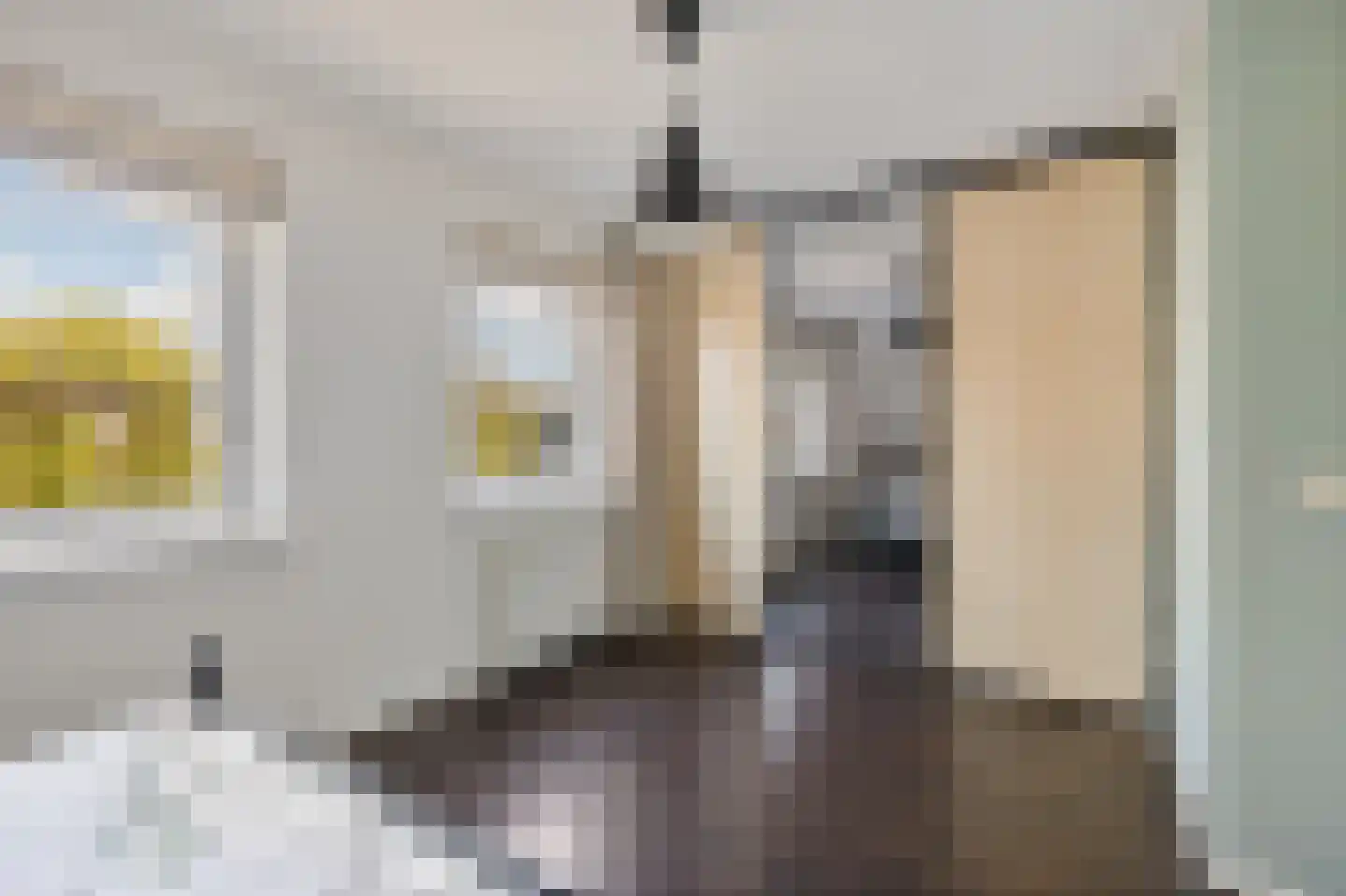 Verlaatsdam 9 Surhuisterveen thumbnail 38