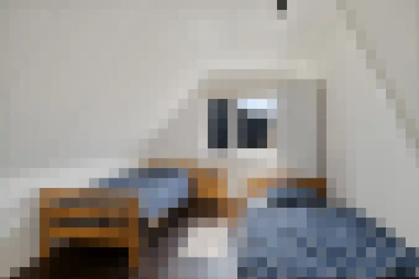 Verlaatsdam 9 Surhuisterveen thumbnail 39