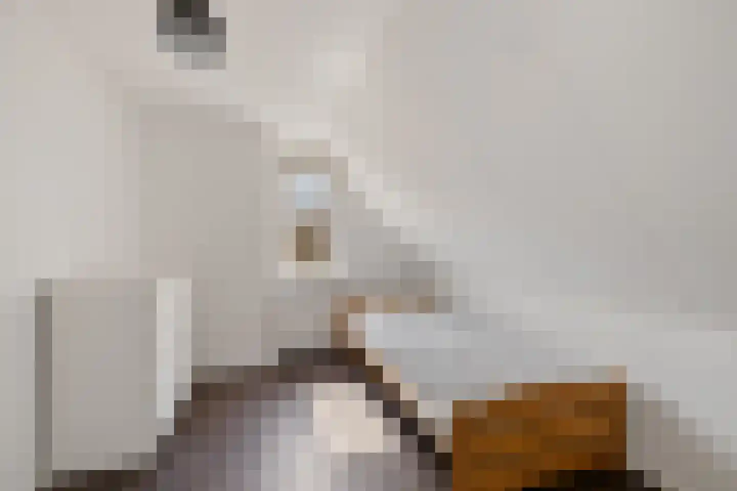 Verlaatsdam 9 Surhuisterveen thumbnail 40