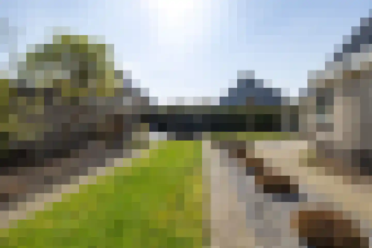 Verlaatsdam 9 Surhuisterveen thumbnail 45