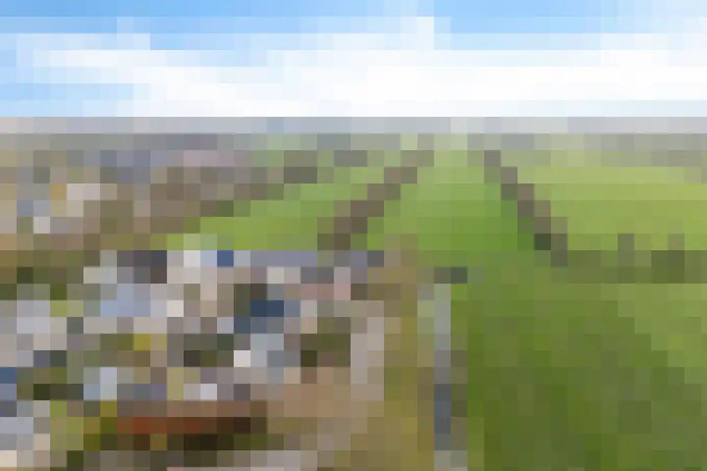 Verlaatsdam 9 Surhuisterveen thumbnail 52