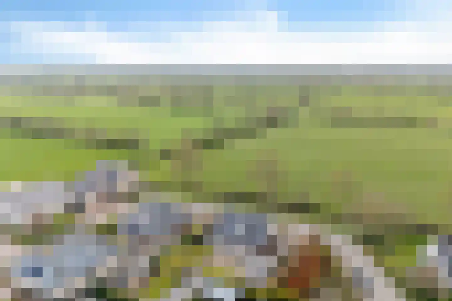 Verlaatsdam 9 Surhuisterveen thumbnail 53