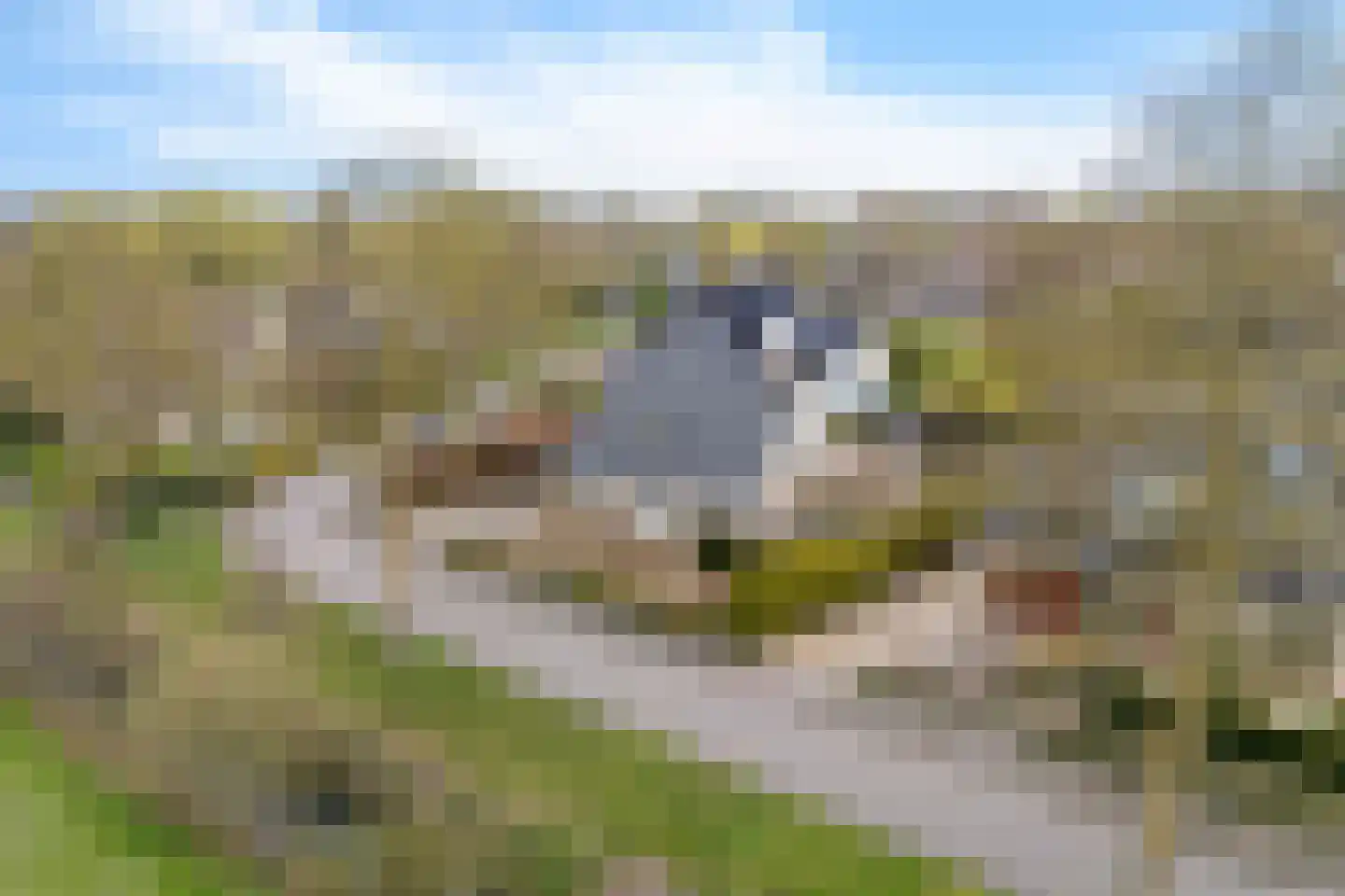 Verlaatsdam 9 Surhuisterveen thumbnail 55