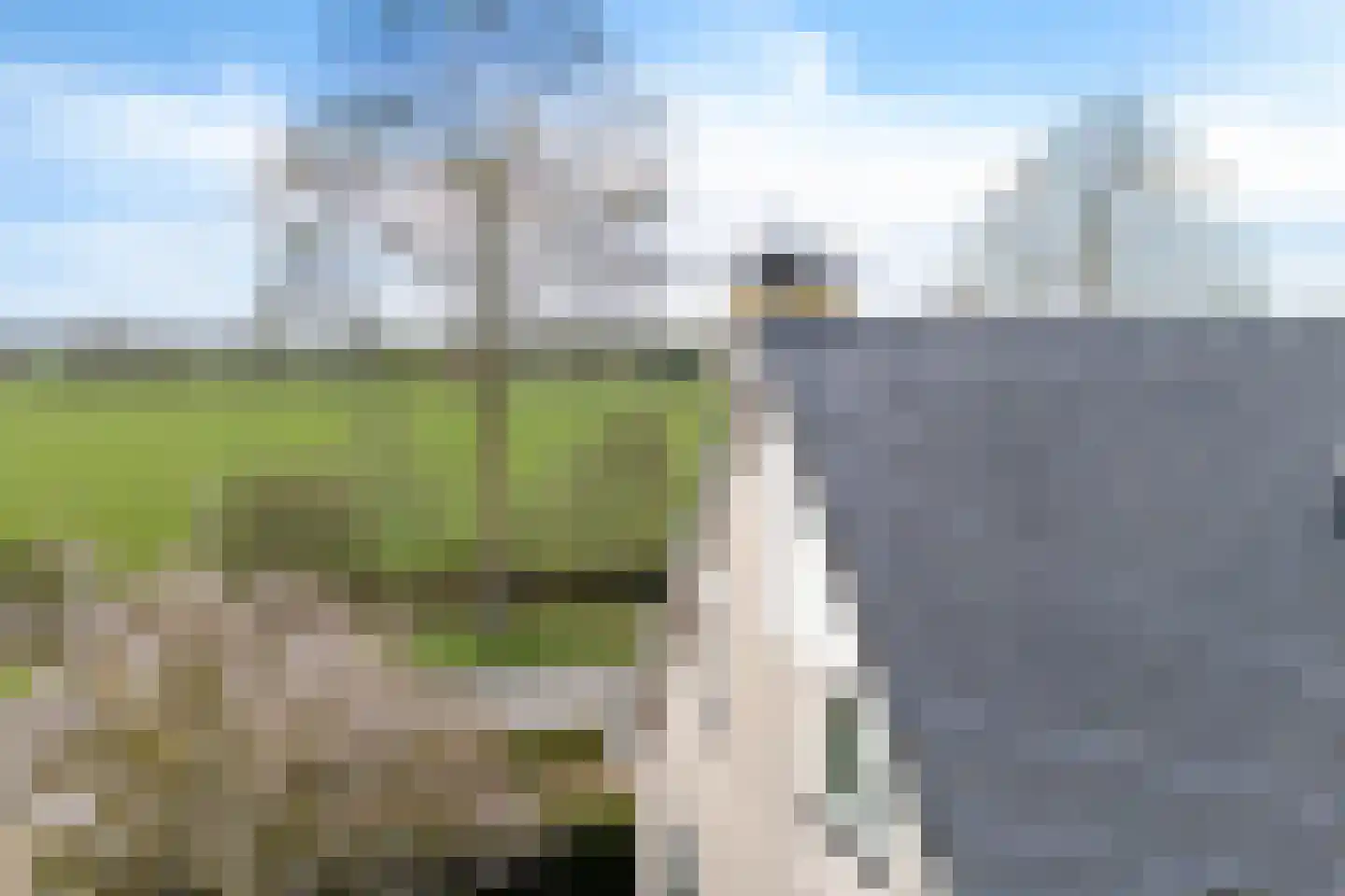 Verlaatsdam 9 Surhuisterveen thumbnail 56