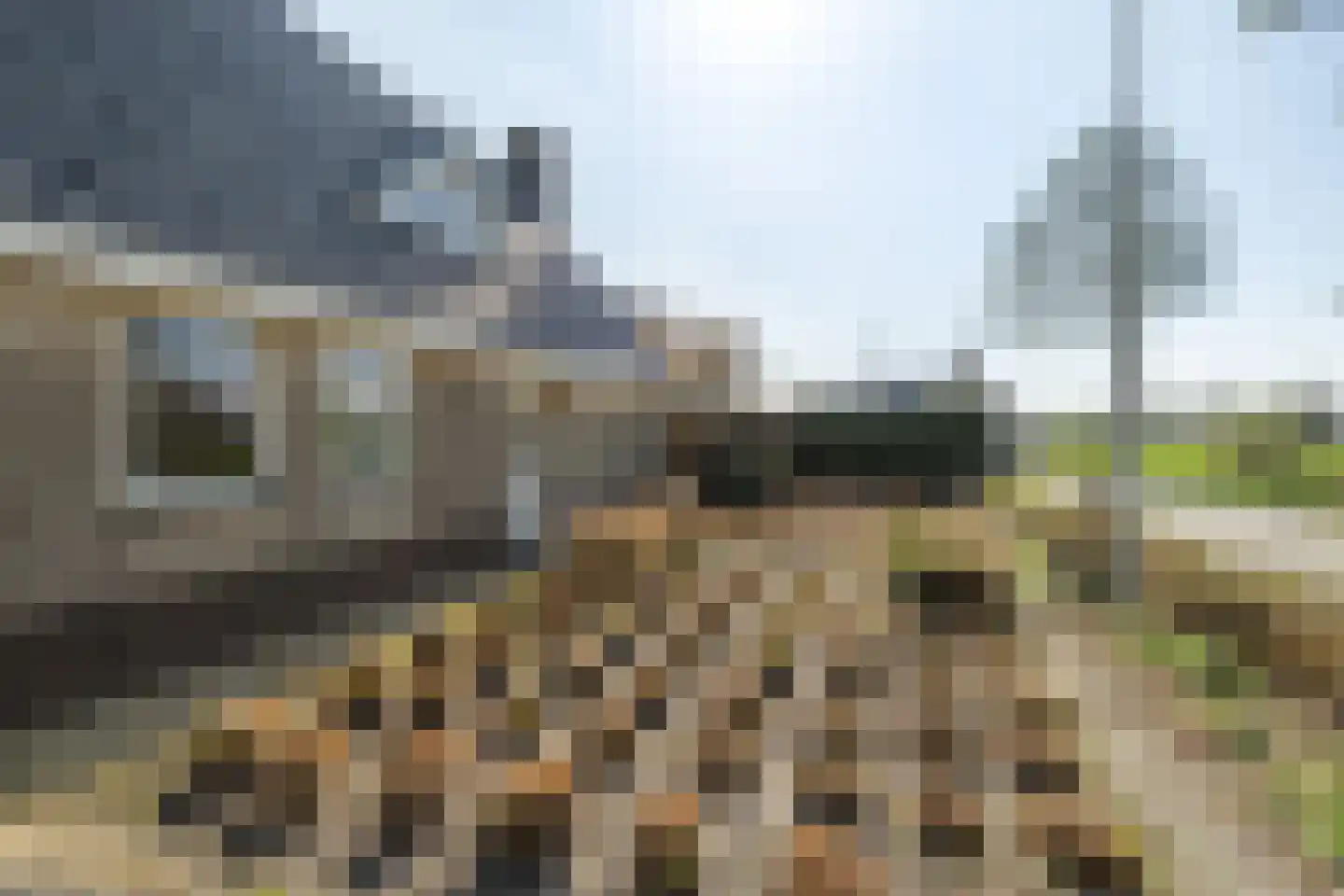 Verlaatsdam 9 Surhuisterveen thumbnail 6
