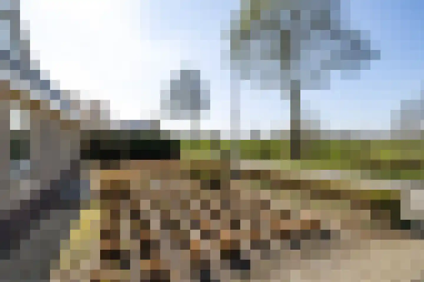 Verlaatsdam 9 Surhuisterveen thumbnail 8