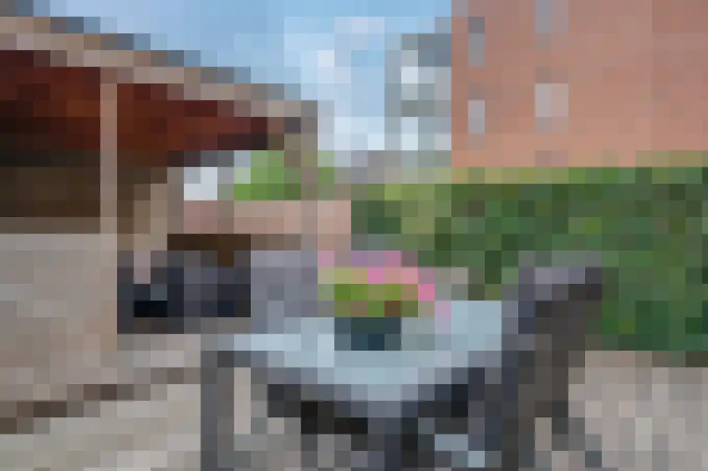 Verlaatseweg 51 Steenwijk thumbnail 29