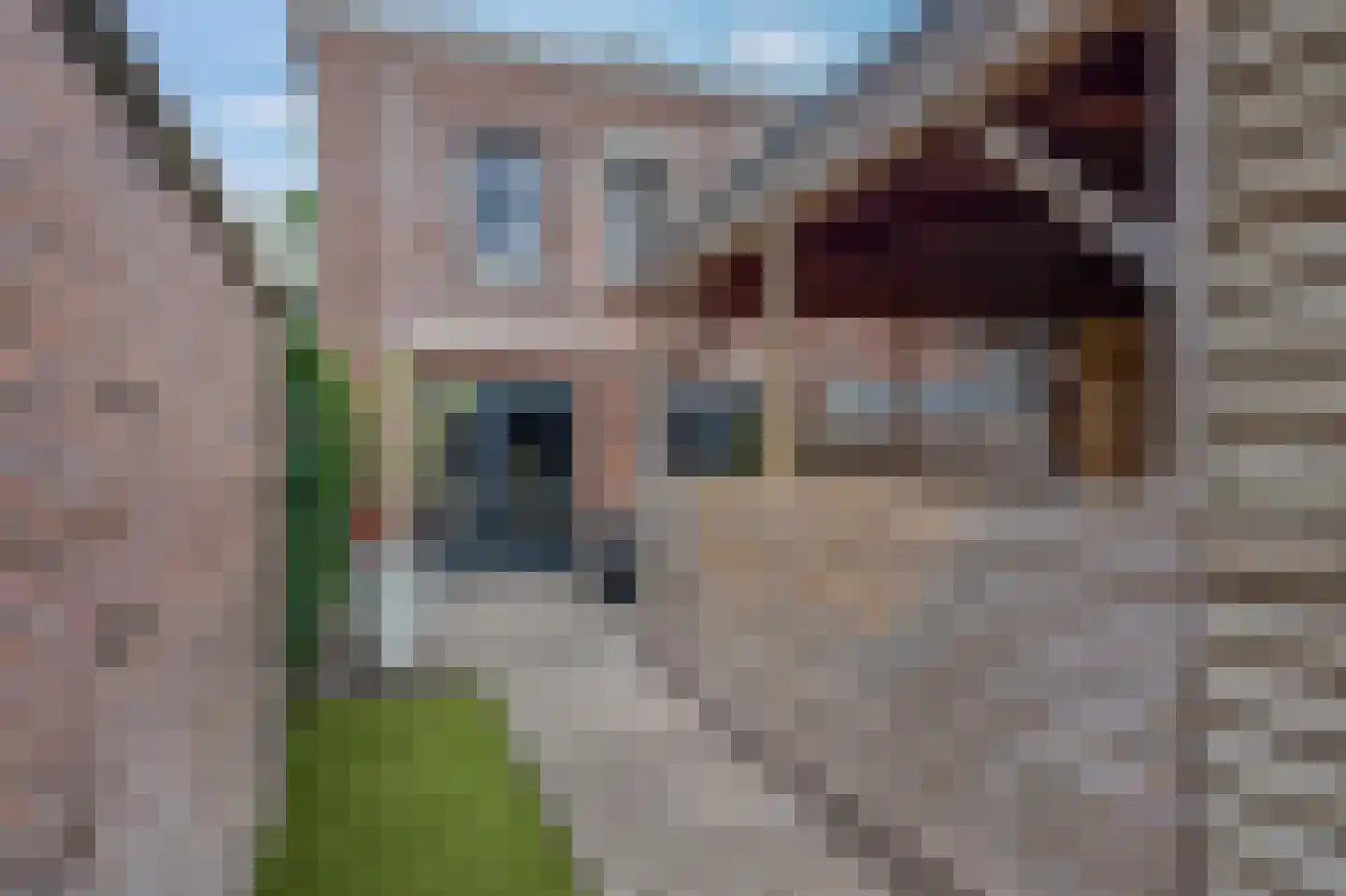 Verlaatseweg 51 Steenwijk thumbnail 34