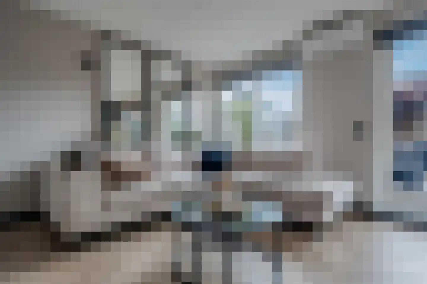 Verlaatseweg 51 Steenwijk thumbnail 4