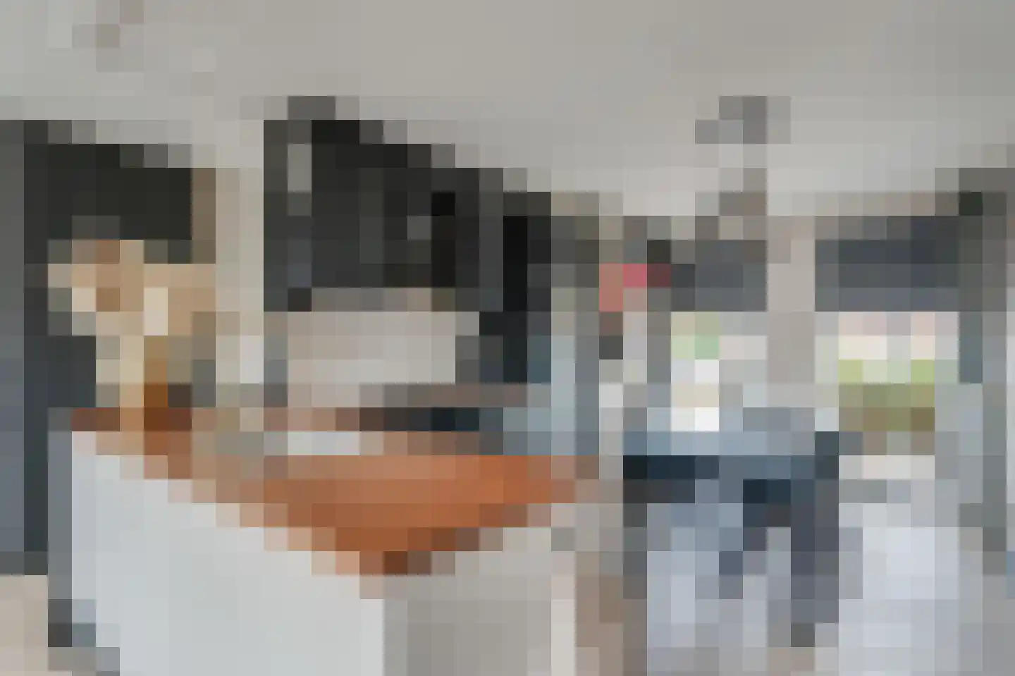 Verlaatseweg 51 Steenwijk thumbnail 8
