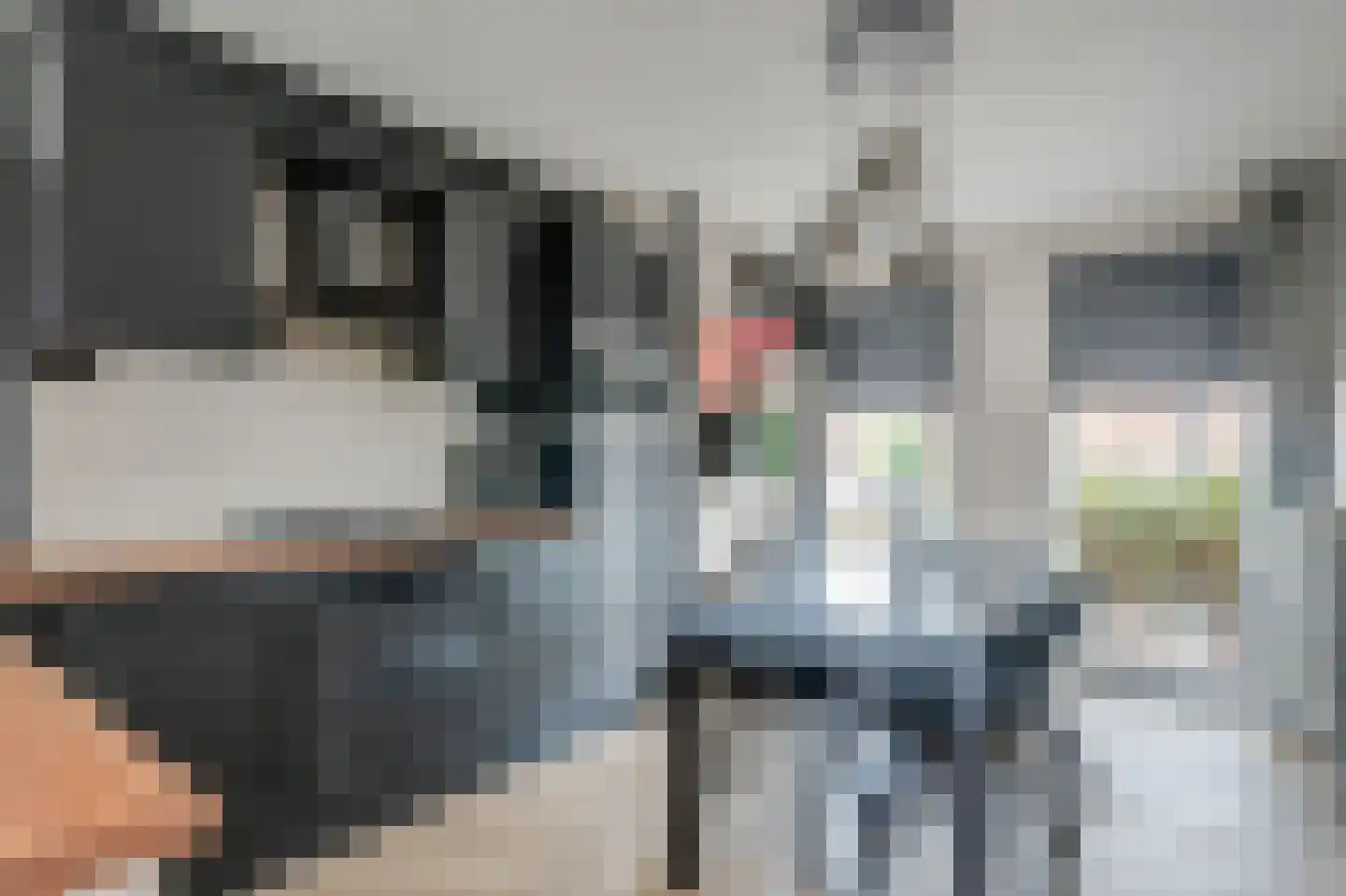 Verlaatseweg 51 Steenwijk thumbnail 9
