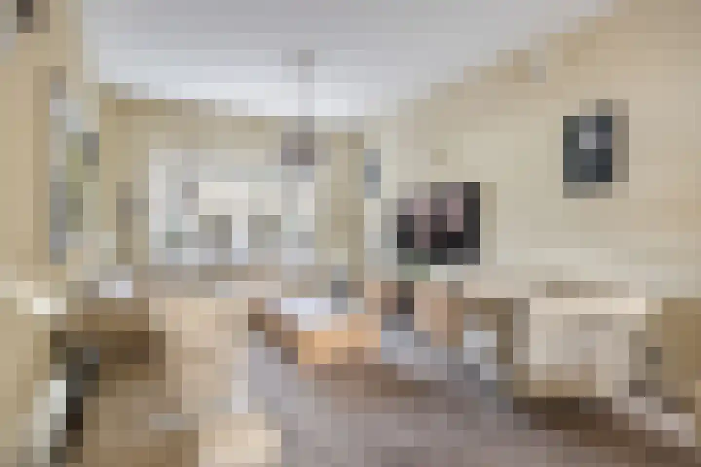 Verlaatstraat 2 Breda thumbnail 12