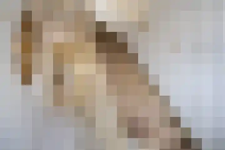 Verlaatstraat 2 Breda thumbnail 13
