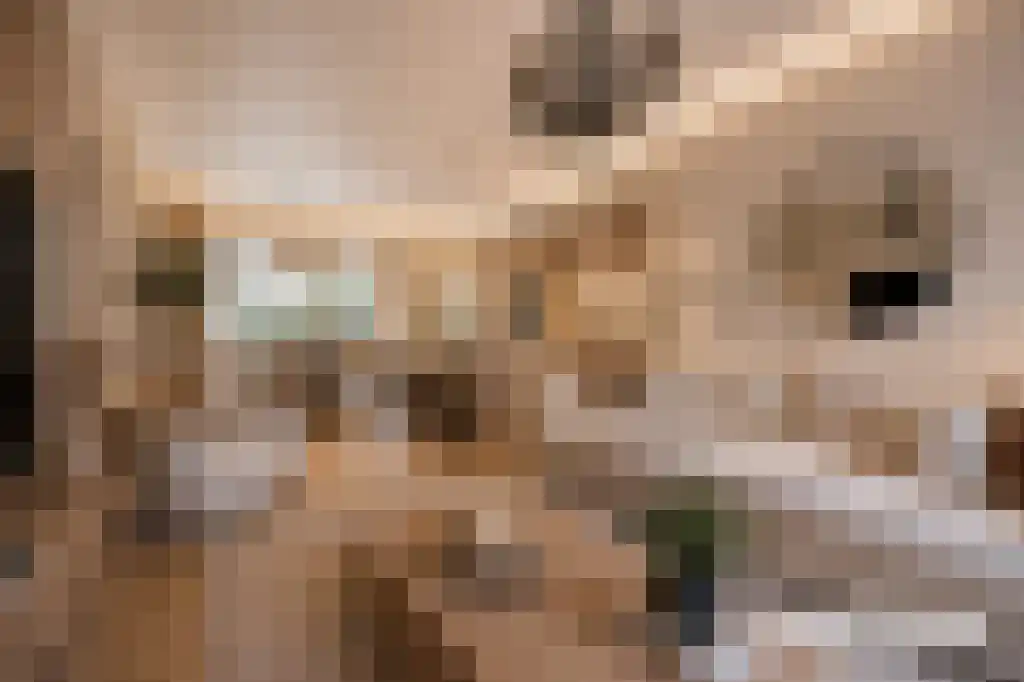Verlaatstraat 2 Breda thumbnail 13