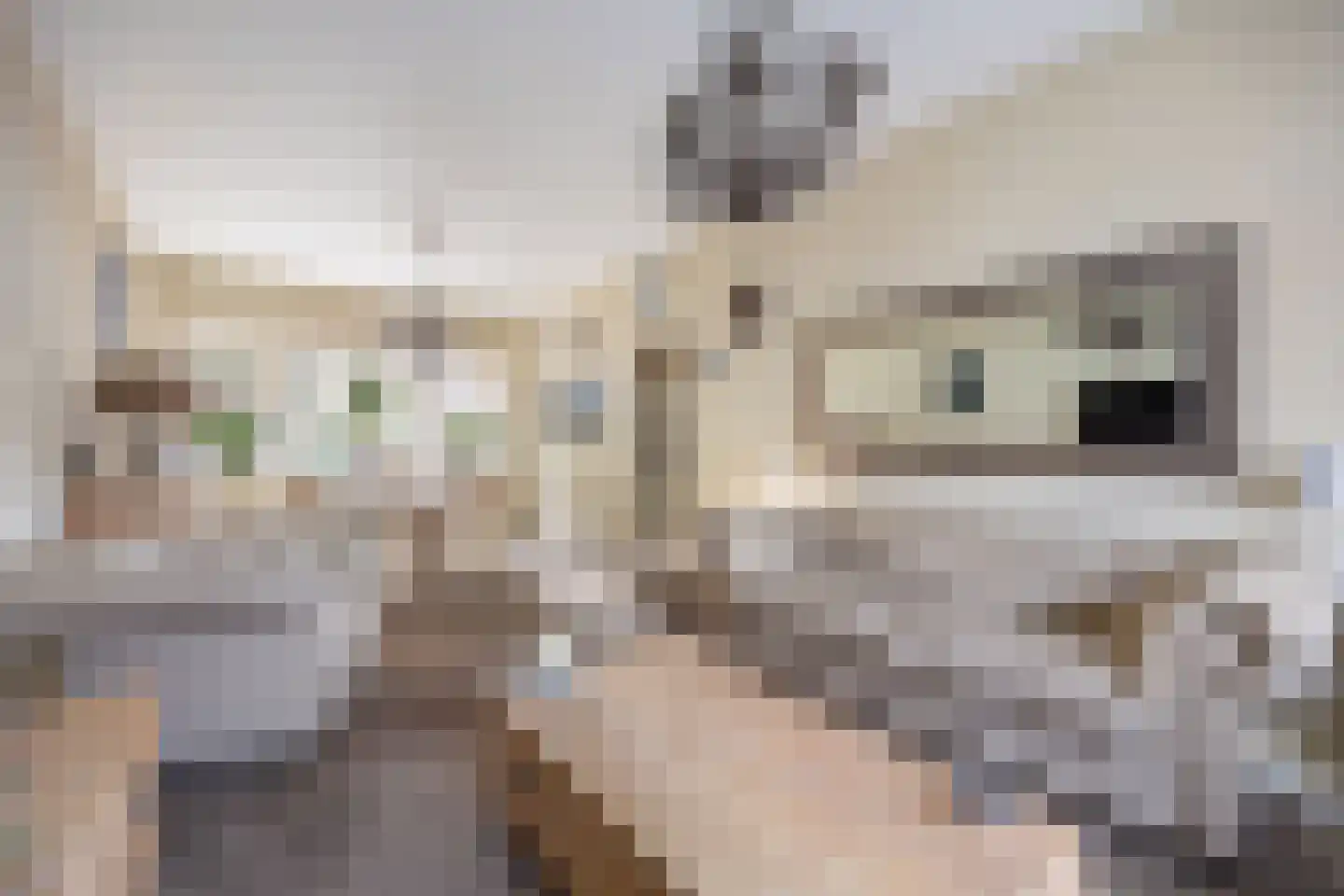 Verlaatstraat 2 Breda thumbnail 15