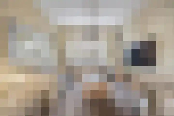 Verlaatstraat 2 Breda thumbnail 17