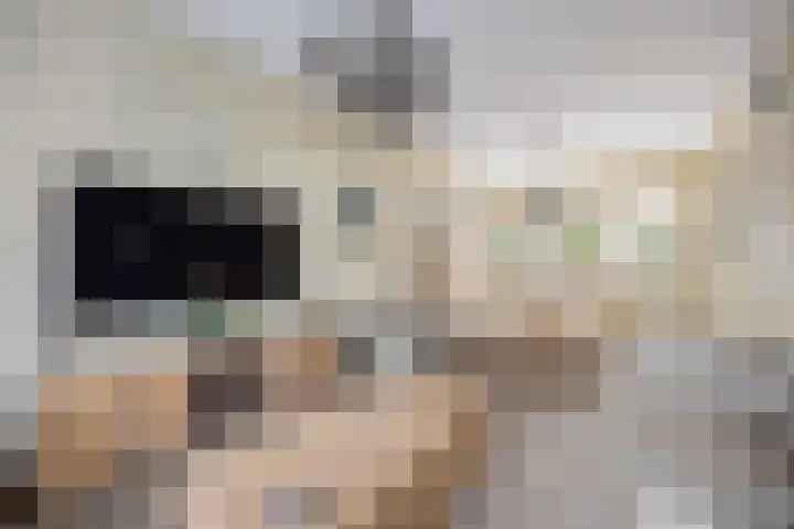 Verlaatstraat 2 Breda thumbnail 18