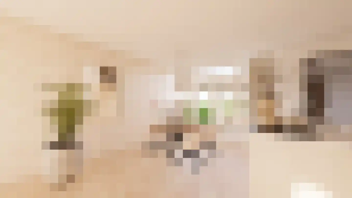 Verlaatstraat 2 Breda thumbnail 19