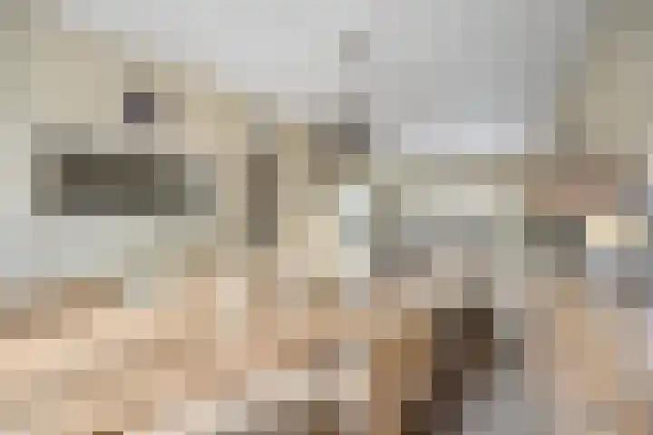 Verlaatstraat 2 Breda thumbnail 21